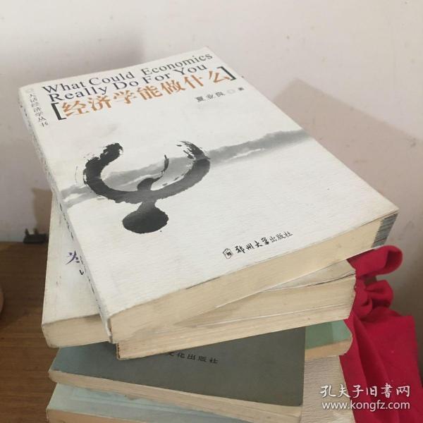 经济学能做什么