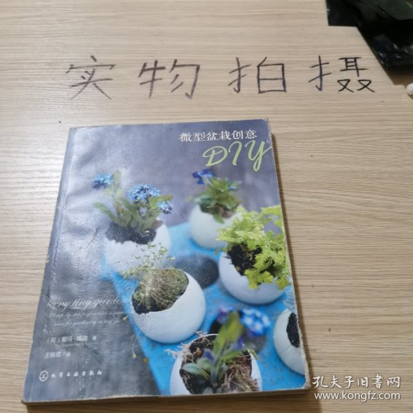 微型盆栽创意DIY