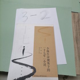 个体生命视角下的“十七年”小说