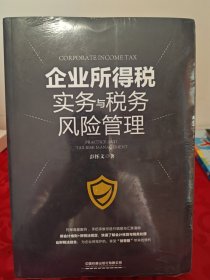 企业所得税实务与税务风险管理