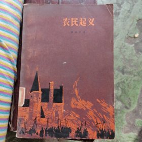 农民起义