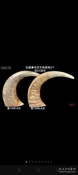 怎样出售稀有的老牛角