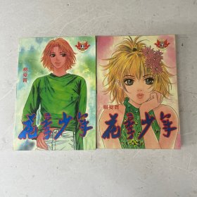 花季少年 全两册