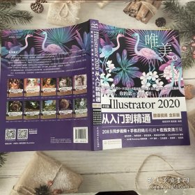 中文版Illustrator2020从入门到精通（微课视频全彩版）（唯美）