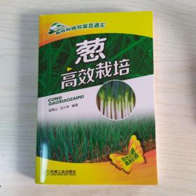 高效种植致富直通车：葱高效栽培