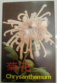 菊花明信片   ，一套十张，上世纪八九十年代襄樊市邮票公司发行，全新摄影精美漂亮
