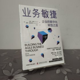 业务敏捷：企业的数字化转型之道（第2版）
