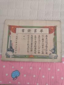 1951年毕业证书（辽西省绥中县）孙雅金毕业证