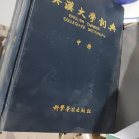 英汉大学词典 上中下