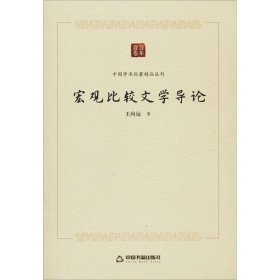 宏观比较文学导论