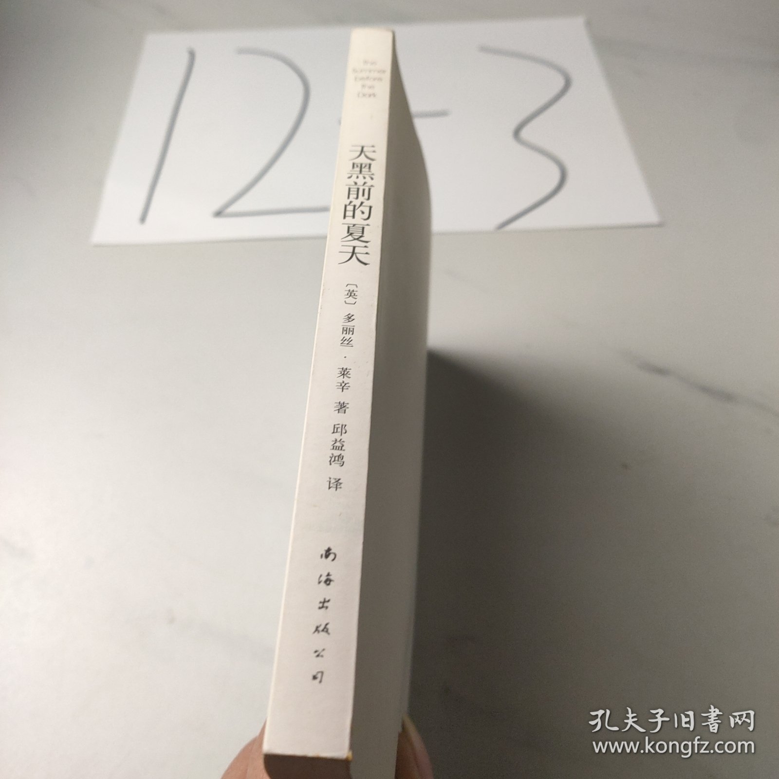 天黑前的夏天：新经典文库348；莱辛作品01