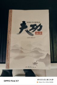 功夫天下