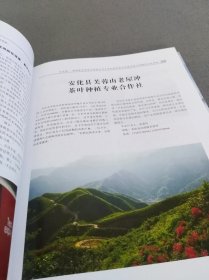 中国安化黑茶行业大家庭