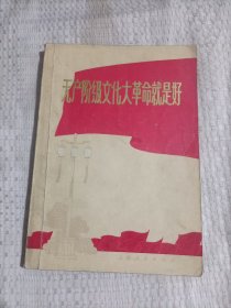 无产阶级文化大革命就是好38.8包邮