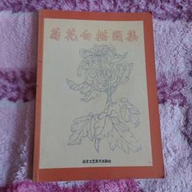 菊花白描图集/中国传统工艺美术资料丛书