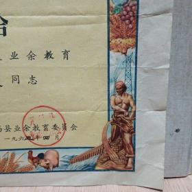 1964年无锡县奖状