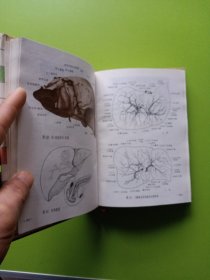 人体解剖图谱