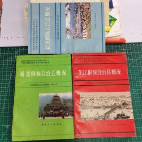 通道侗族自治县概况、芷江侗族自治县概况、新晃侗族自治县概况（3本和售）