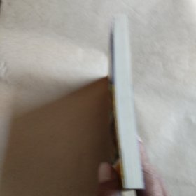 南北风味小吃