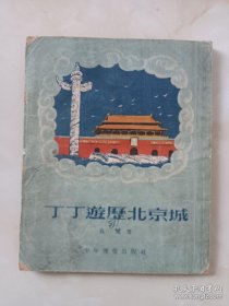 丁丁游历北京城