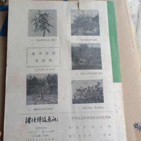 柑桔科技通讯1977年3-4