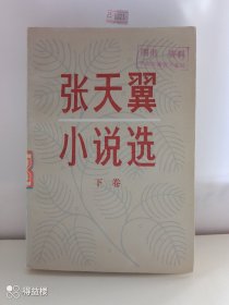 张天翼小说选（下