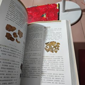 临床常用中草药鉴别与应用