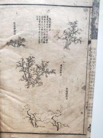 芥子园画谱 卷一，二