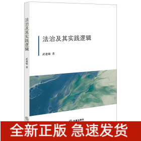 法治及其實(shí)踐邏輯