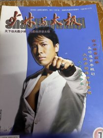 武术类：少林与太极，封面甄子丹，二郎拳竞赛套路（下）南少林香店拳，少林简易铁砂掌，金刚铁腕功，五行通背拳鞭劲，少林定位闪战法，太极梅花拳捶法，太极步的练法与要领，太极拳肘靠玄机，太极书法，养生太极内气运行的训练方法，李雅轩太极推手，狼牙锤暗器，自卫防身中的短刀使用，抗打训练等