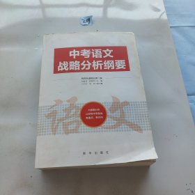 中考语文战略分析纲要