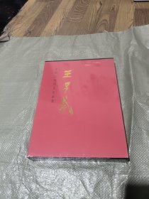 中国近现代名家画集 王子武