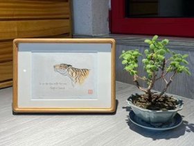 虎嗅 沐版社精品  A4大小 实木镜框
