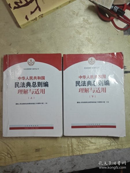 《中华人民共和国民法典总则编理解与适用》（上下）