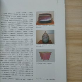 中国工艺美术大师杨国政钧瓷精品集成