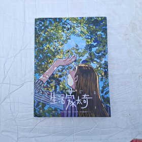 生活蒙太奇
