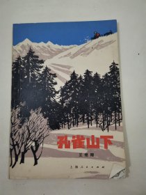 孔雀山 下