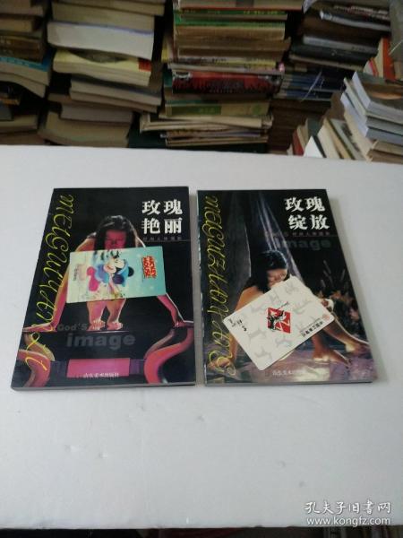 玫瑰绽放+玫瑰艳丽(共2本)