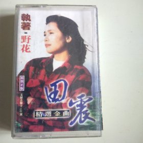 磁带 田震 野花 执着 金曲精选