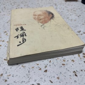 陆俨少