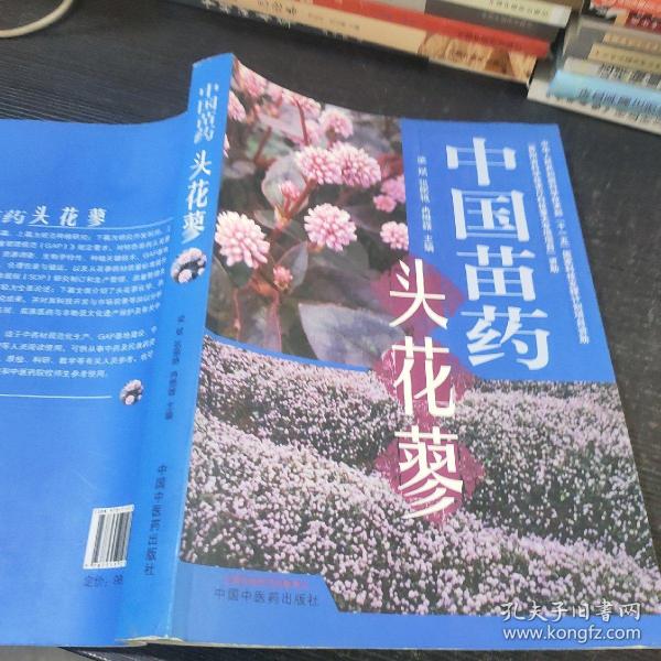 中国苗药头花蓼