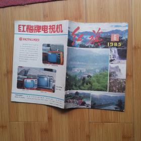 红旗 :1985年第6期