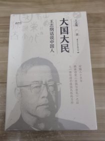 大国大民 王志纲话说中国人