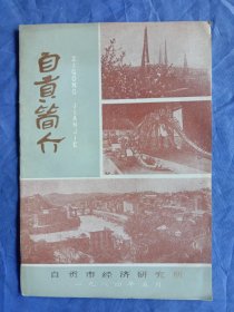 自贡简介