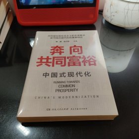 奔向共同富裕（读懂共同富裕，看清未来中国！深入浅出，雅俗共赏，两大TOP级智库联袂巨献，通俗理论重磅大作！）