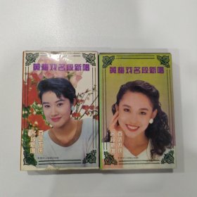 黄梅戏磁带：黄梅戏名段新唱（上下）