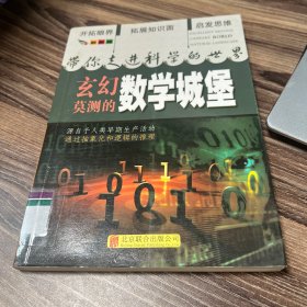 彩图版.带你走进科学的世界--玄幻莫测的数学城堡（四色印刷）