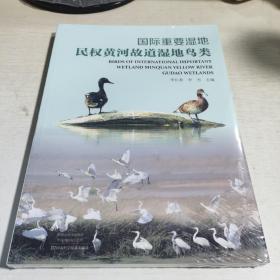 08C：国际重要湿地 民权黄河故道湿地鸟类（16开   塑封  全新正版