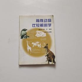 脊椎动物比较解剖学