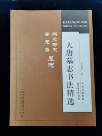 大唐墓志书法精选：阿史那忠·安元寿墓志【陕西著名书法家何炳武主编。尽显大唐书法雍容大度，清新雅致之风！书法水平高超，不输颜柳欧。可临可赏。难得的大唐墓志书法研究资料！